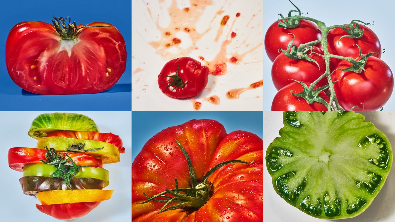 Image collage of tomatoes on colorful background